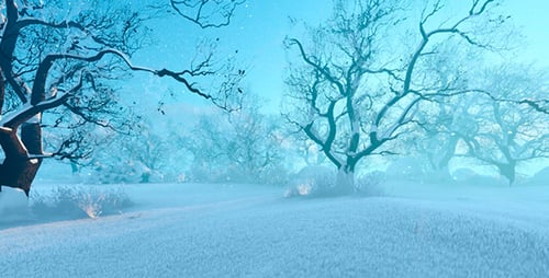 Panorama Winter Forest