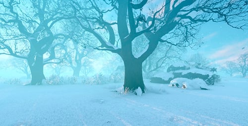 Panorama-Winterwaldpark
