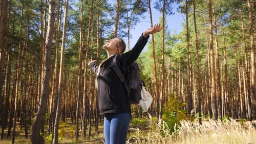 Video von einer glücklich lächelnden Frau, die beim Wandern die Hände ausstreckt und einen sonnigen Tag im Wald genießt