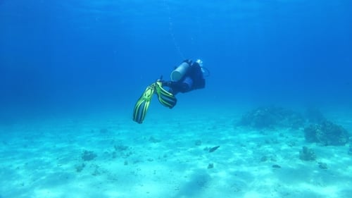 Diver Swims Over Coral Reefs