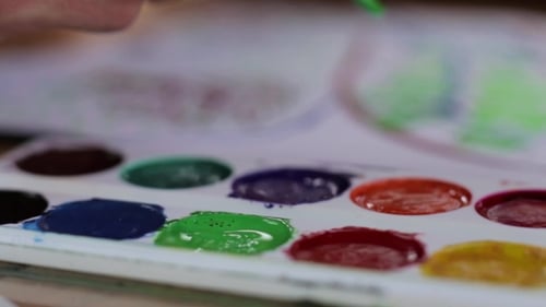 View Of Fighly Gifted Painter