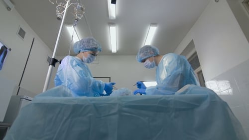 Surgical Team Performing Operation in Hospital Operating Room