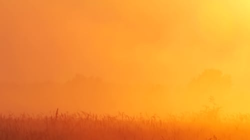 Sunset Haze