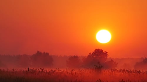Fog At Sunset 2