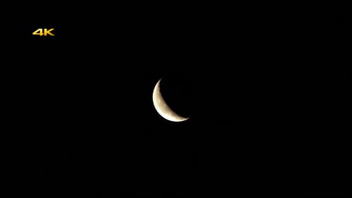 Crescent Moon Movement