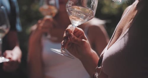 Attractive young woman drinking white wine