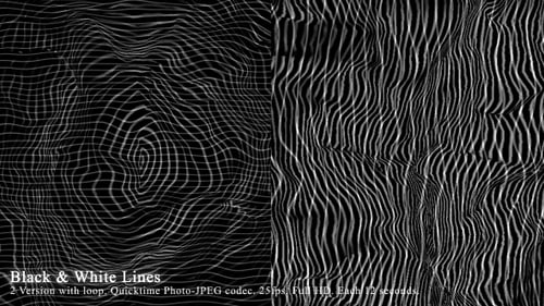 Dynamic Black and White Fluid Wavy Lines Abstract Background
