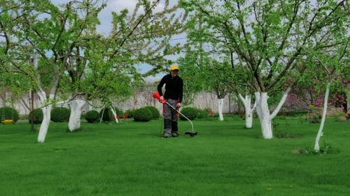 Mann schneidet Gras im Garten mit einem Mäher