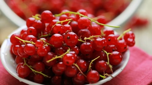 Plate of Fresh Red Currants on Display