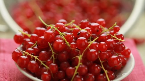 Close-Up of Fresh Red Currants on a Plate