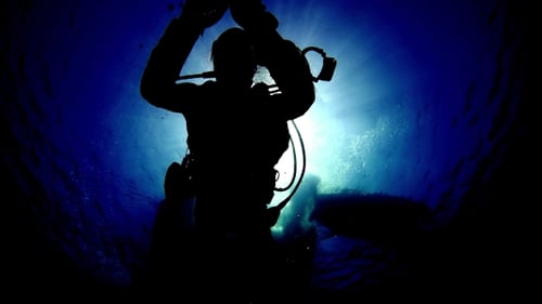 Divers Swims