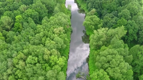 Aerial Shot Of Calm River Amidst Trees
