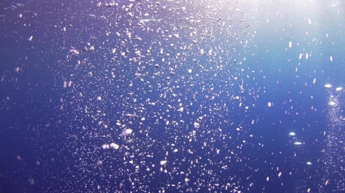 Rising Bubbles Underwater in the Deep Blue Ocean