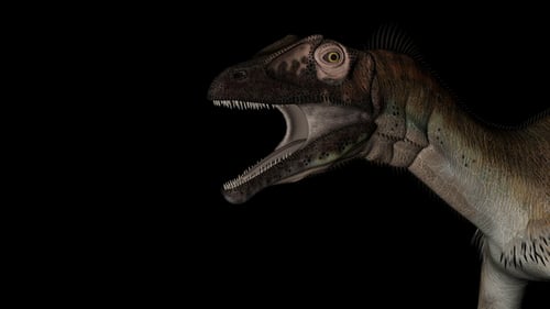 3D Animated Dinosaur Roaring and Walking