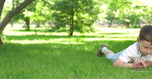 Boy Playing In The Tablet