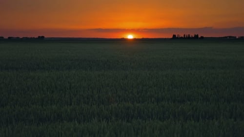 Sonnenuntergang über der Natur Rasenfeld mit Wolken