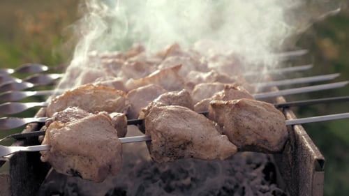 Barbecue Skewers With Meat Cooking On The Grill