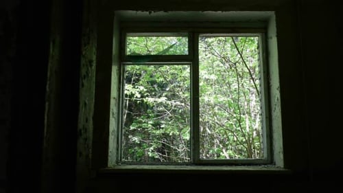 Fenster im verlassenen Krankenhaus