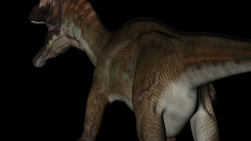 Realistic 3D Carnotaurus Dinosaur Walking Across Frame