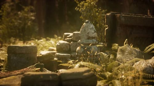 Hoary Ruins of Ancient City in Pine Forest