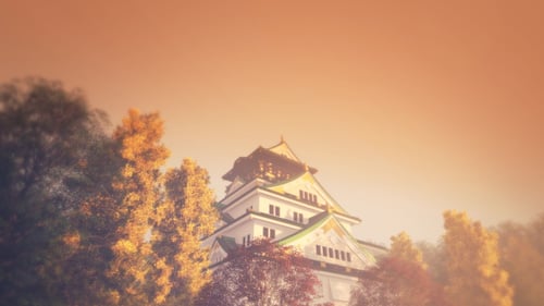 Osaka Castle - Japan