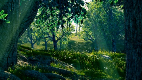 Camera Fly Through Forest