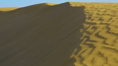 Dunes Of Thar Desert.