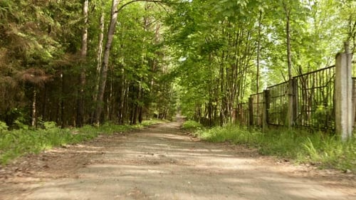 Running in the Park