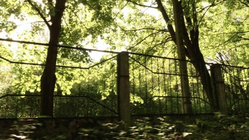 Metal Fence along the Road