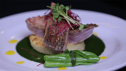 Gourmet Fish Dish on White Plate