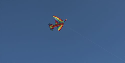 Kite In The Sky