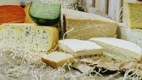 Selection of cheeses displayed indoors