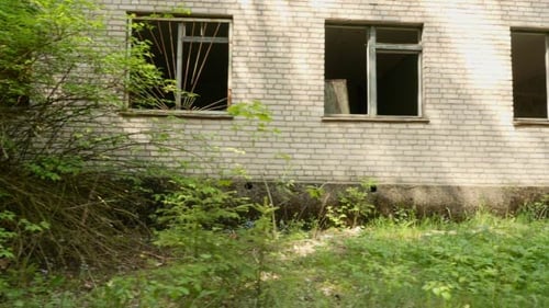 Decaying Building Exterior with Graffiti and Overgrowth
