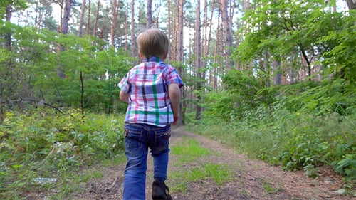 Child Runs Through Forest on a Sunny Day