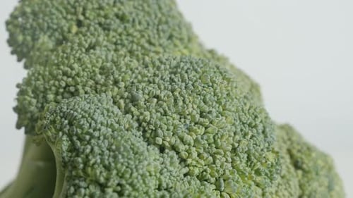 Organic green broccoli close-up 4K 2160p 30fps UltraHD tilting footage - Healthy Brassica oleracea
