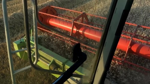 Combine Harvester Cutting Wheat in a Field