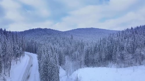 Aerial View Over Winter Forest