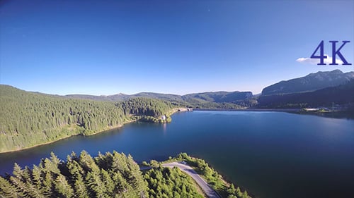 Flying Over Lake and Forest