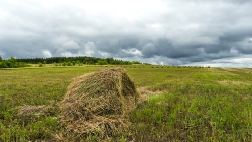 Haystack In The Field Of Clouds In The Sky, Farmers Cleaning Hay Harvest