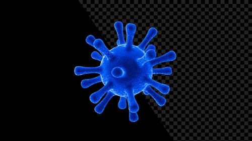 Covid 19 Coronavirus V10