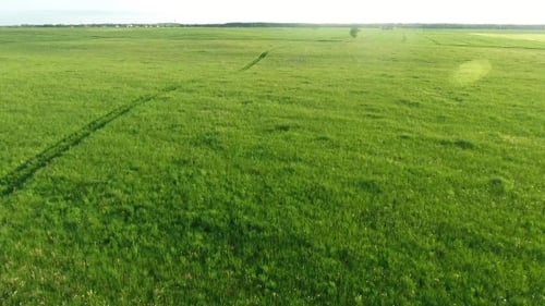 Aerial View Of Road In The Fields