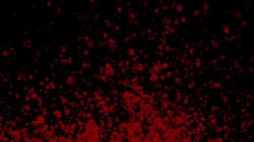 Floating Animated Red Cells on Black Background
