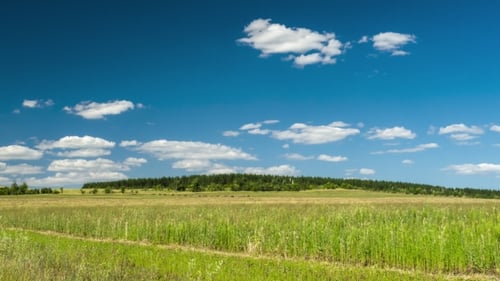 Wolken bewegen sich über die Felder und ernten Sekos auf einer Farm über dem Wald