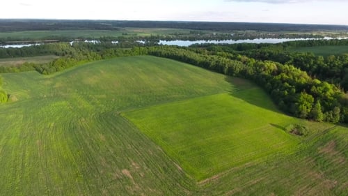 Aerial View Of River In The Fields