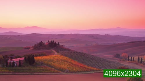 Picturesque Farmland at Sunrise with Golden Light