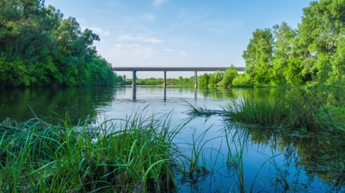 Der Fluss fließt unter der Brücke, eine sonnige Naturtour am Sommertag