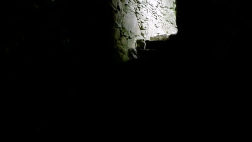 Stairs Of Old Medieval Subterranean Or Basement 57