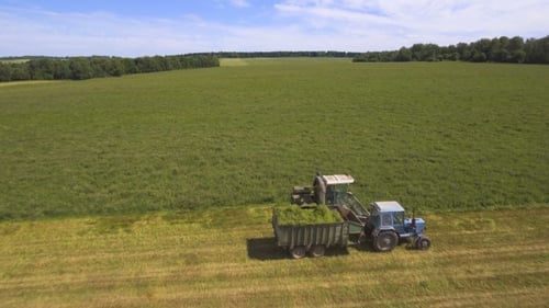 AERIAL VIEW. Combine Harvester Cutting Field