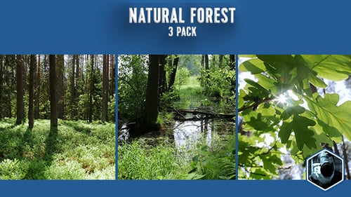 Naturwald 3er-Pack