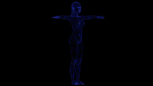 3D Wireframe Female Body Model Rotation